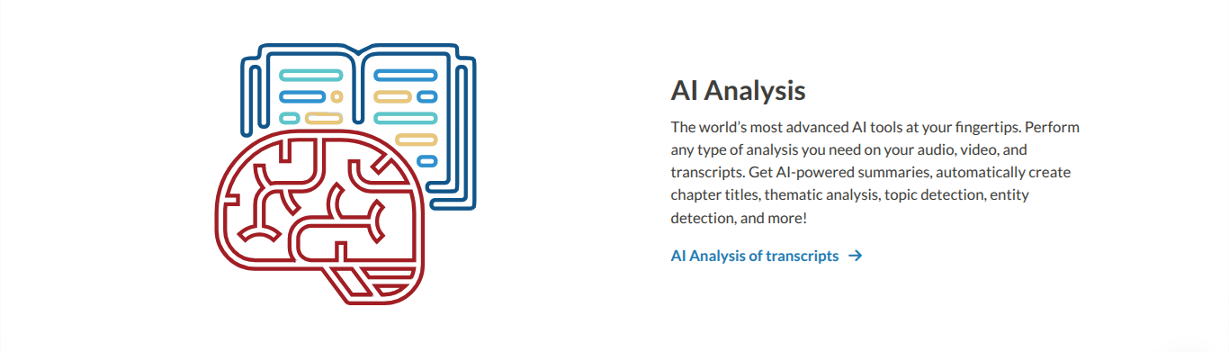 Sonix AI Analysis