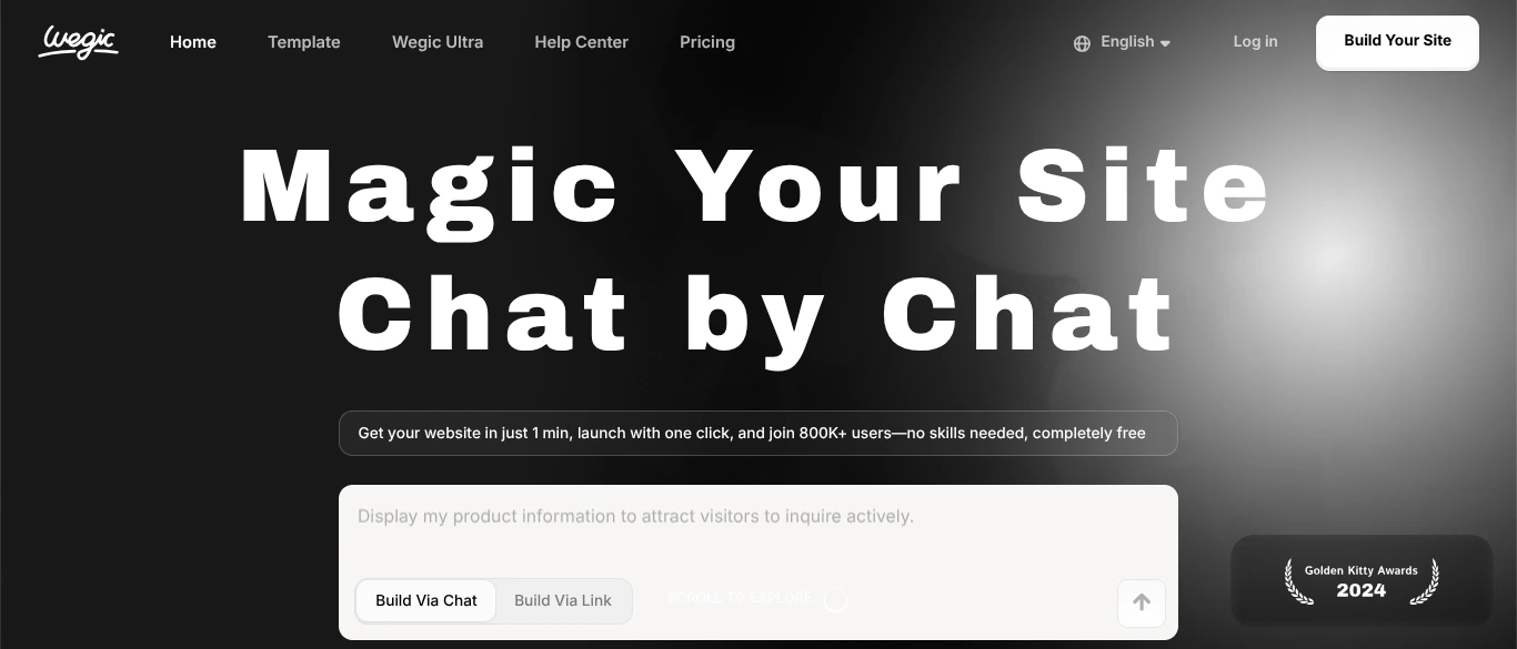 Wegic AI Review